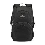 High Sierra Swoop SG Laptop Backpack - Black - 1