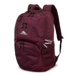 High Sierra® Swoop SG Laptop Backpack - 1